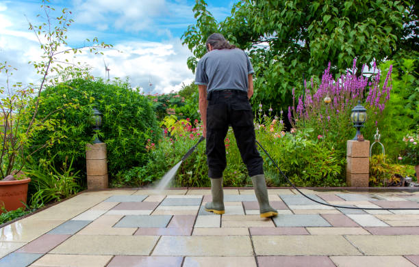 Best Sidewalk and Walkway Cleaning  in North Richmond, CA