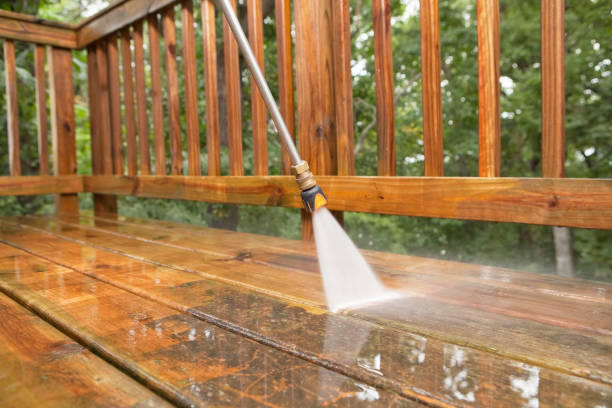 Best Dumpster Area Cleaning  in North Richmond, CA